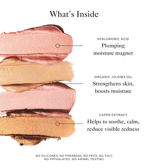 The Brush & Glow Duo