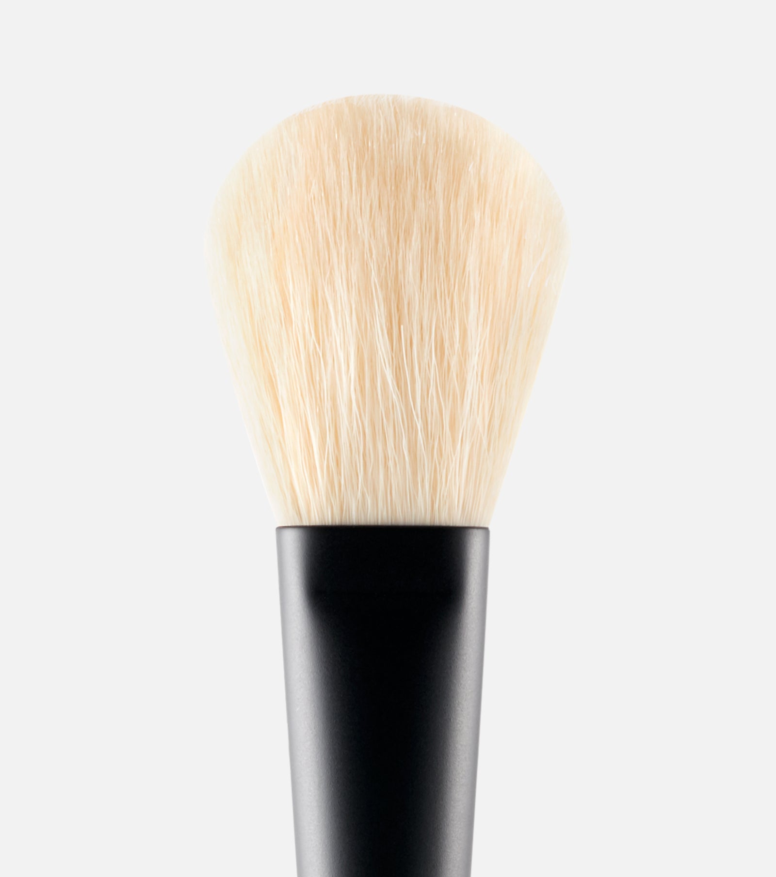 Westman Atelier Powder Brush Bristles